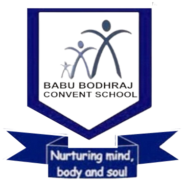 Babu Bodhraj Convent School